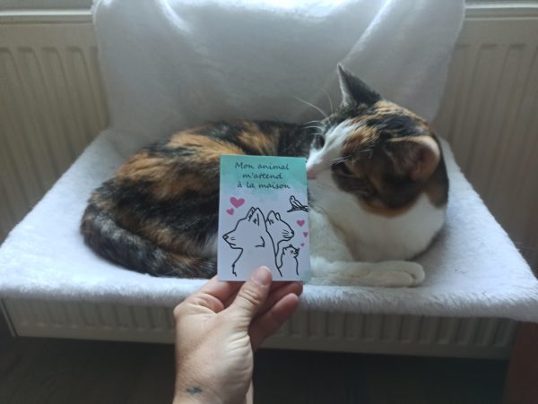 Carte animal seul chez moi – Image 2
