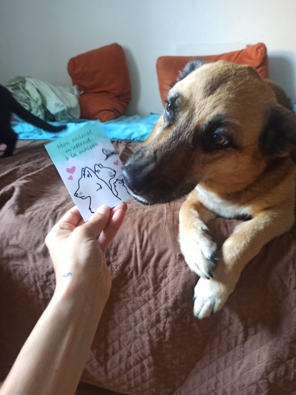 Carte animal seul chez moi – Image 3