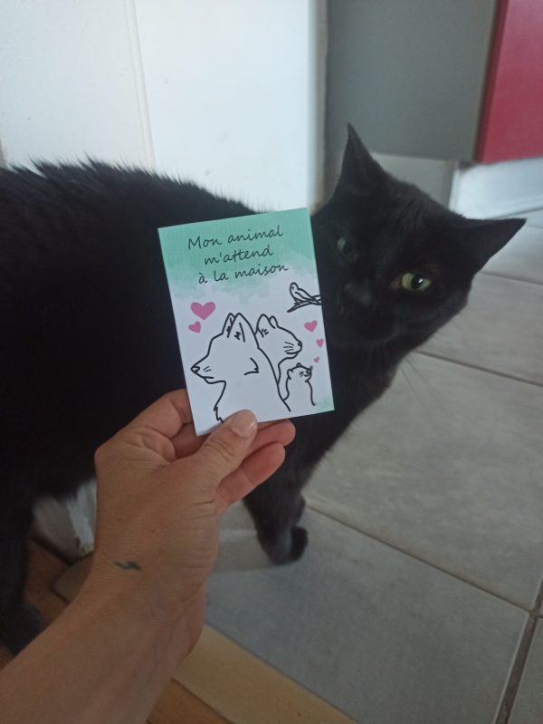 Carte animal seul chez moi – Image 4