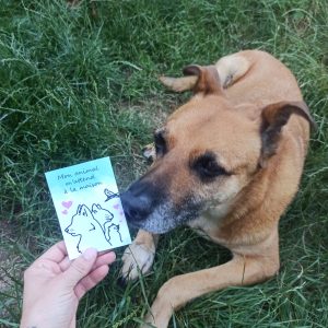 Carte animal seul chez moi