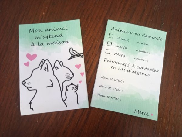 Carte animal seul chez moi – Image 5