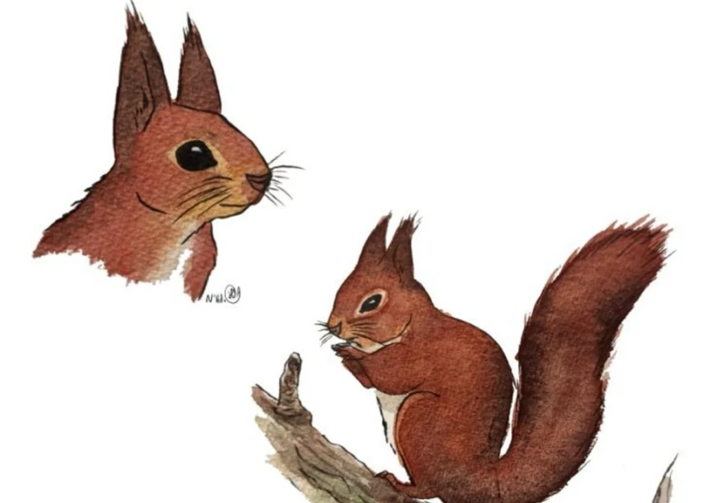 L’automne dans mon carnet : croquis, couleurs et inspirations naturelles