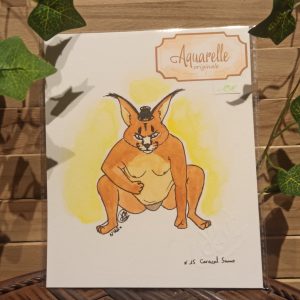 Caracal sumo (aquarelle originale)