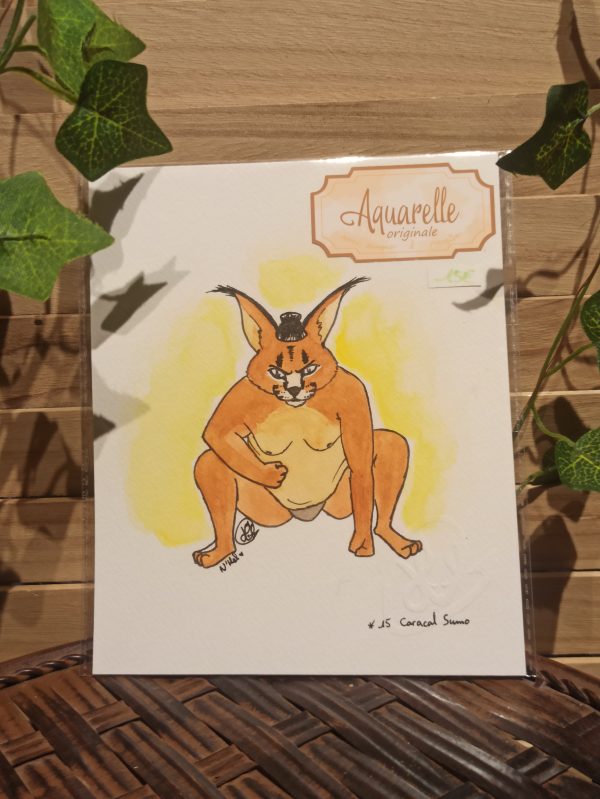 Caracal sumo (aquarelle originale)