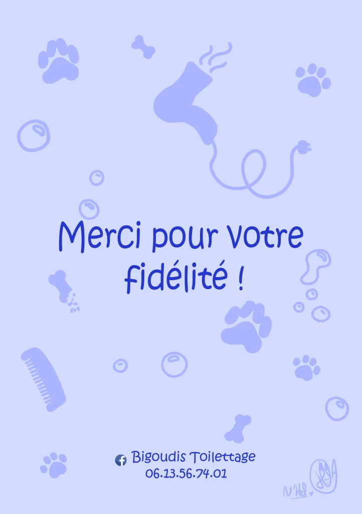 Illustration BT cadeau verso